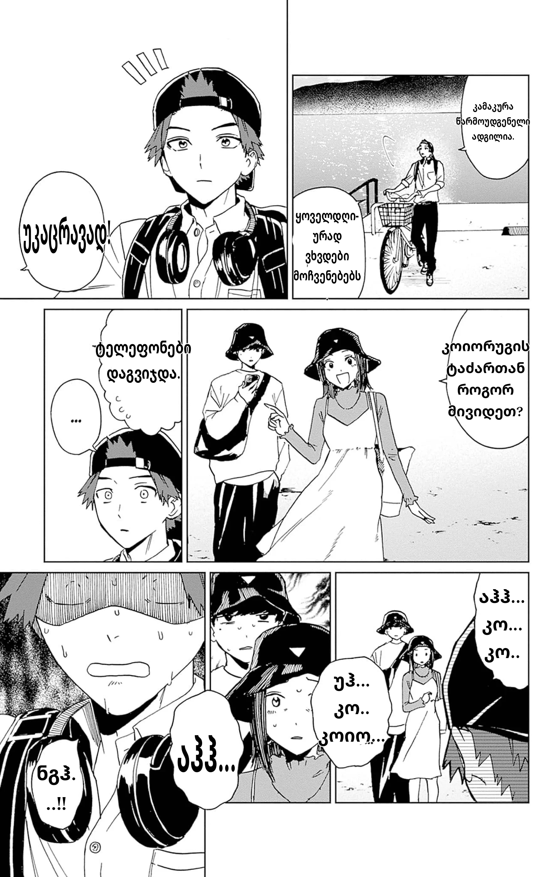 Page (3)
